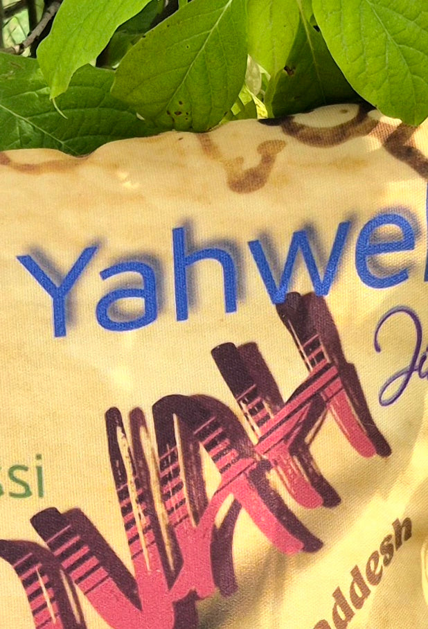 Jehovah Outdoor Pillow